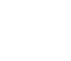 Hayley van Onselen Photography